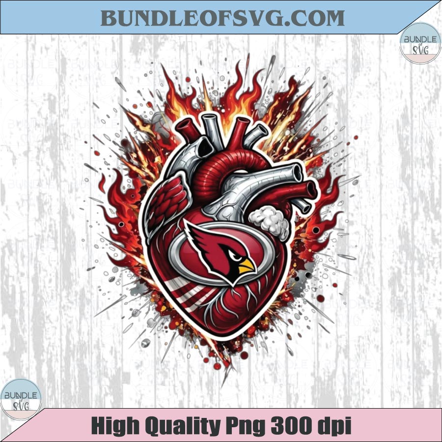 Arizona Cardinals Heart PNG Football Cardinals Anatomical Heart Png