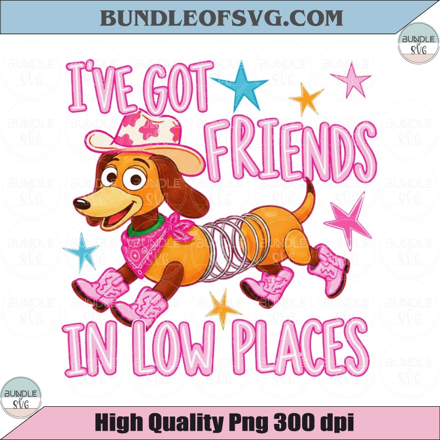 I've Got Friends In Low Places PNG Retro Cowgirl Dog Shirt Design