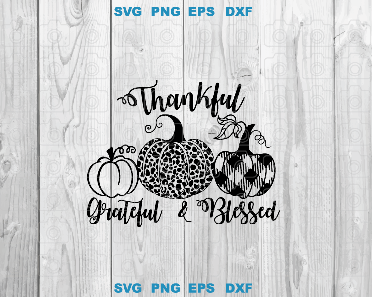 Thankful Grateful Blessed svg Leopard tran Pumpkin svg Buffalo Plaid Pumpkin Silhouette Fall svg png dxf eps cut files Cameo Cricut