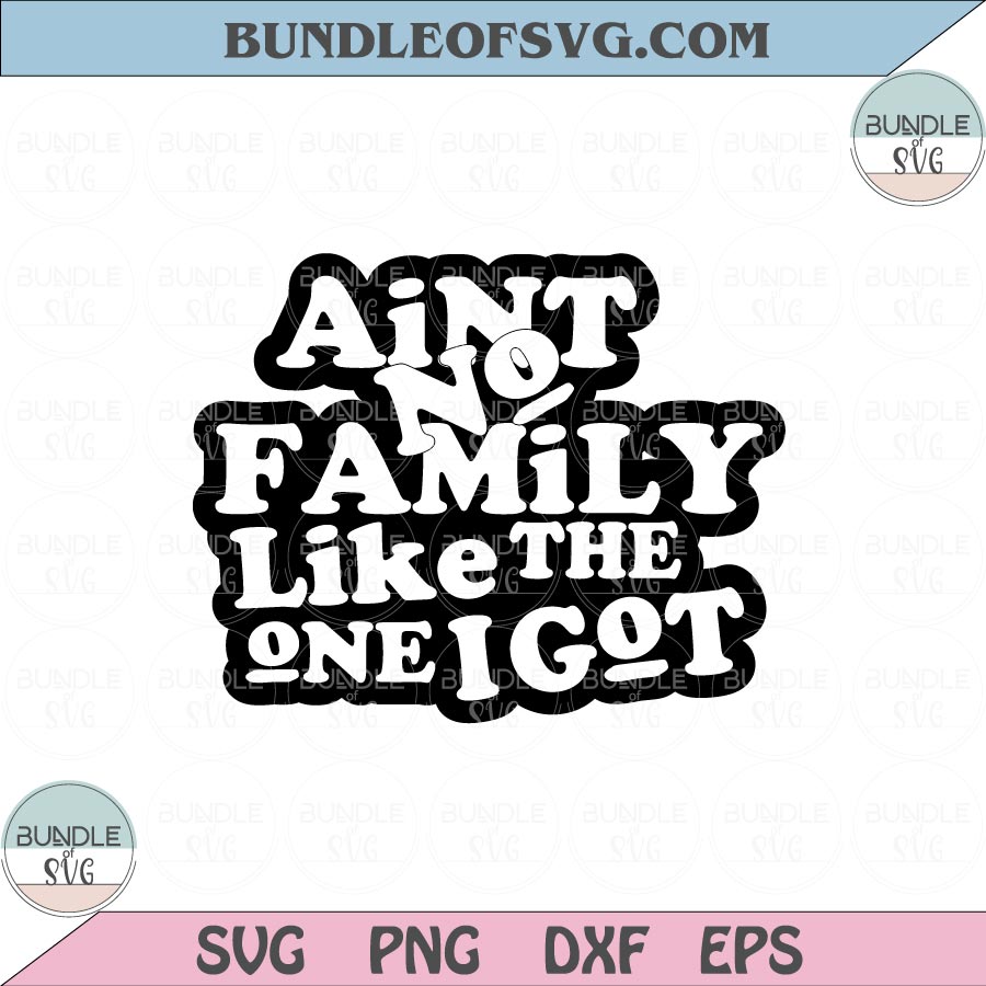 Ain't No Family Like The One I Got Svg Funny Family Quote Svg Png Dxf Eps files Cameo Cricut - BundleofSVG