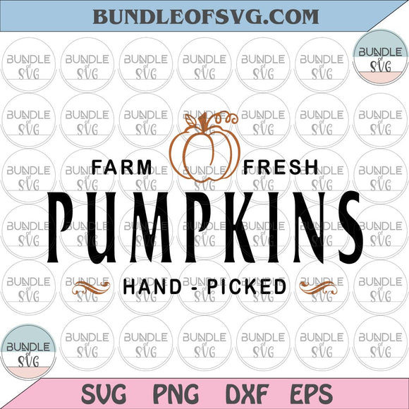 Farm Fresh Pumpkins svg Farm Fresh Pumpkins Hand Picked svg Farm Fresh svg Fall Quotes Svg eps png dxf files Cricut