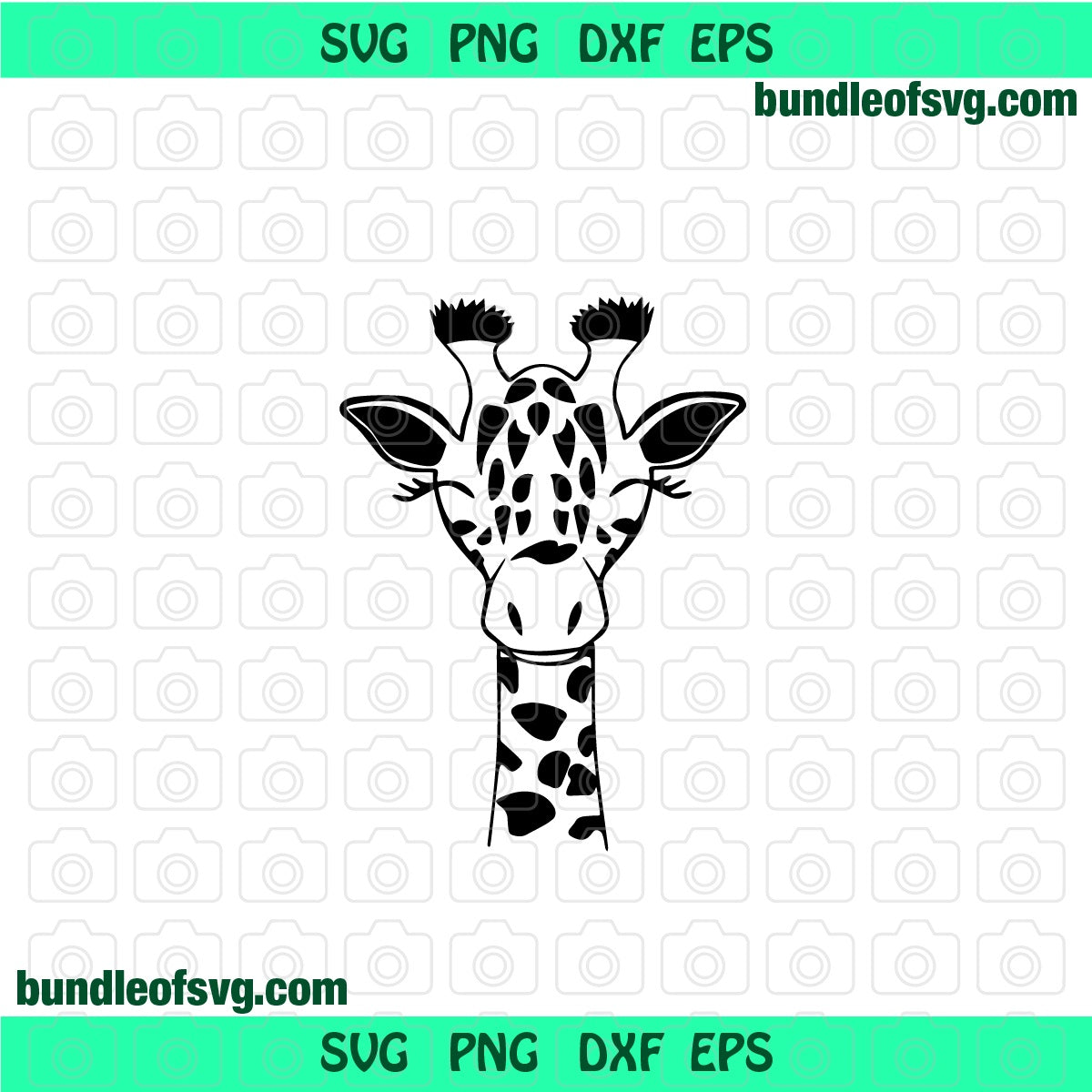 Giraffe Face Svg Giraffe Head Svg Silhouette Giraffe Svg Safari svg dxf png cut files cameo cricut - BundleofSVG