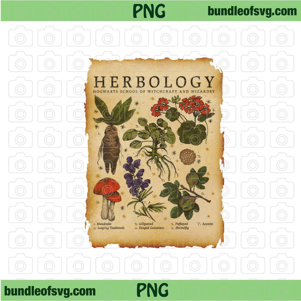 Harry Potter Herbology Plants PNG Submilation Herbology Png Hogwarts png file - BundleofSVG