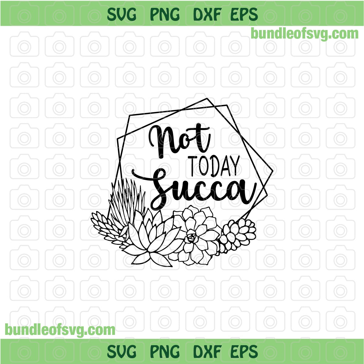Not Today Succa svg Funny Succulent svg Cactus Lover svg png dxf cut files cricut - BundleofSVG