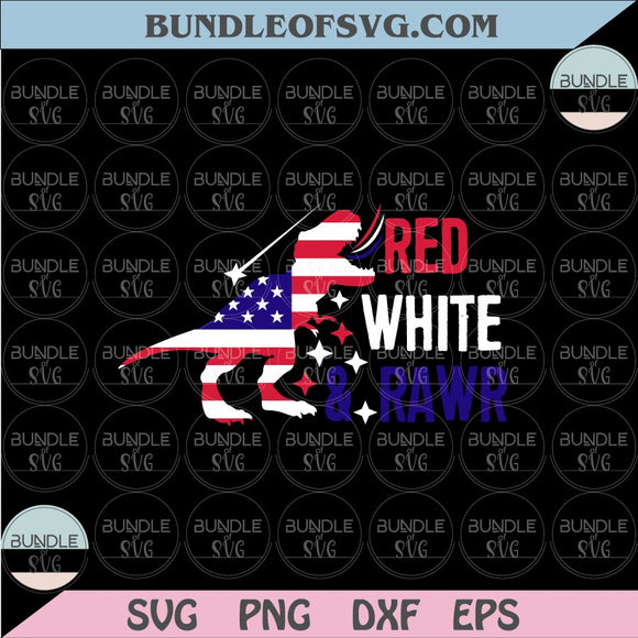 Red White and Rawr Svg USA T Rex Boy 4th of July Svg Dinosaur Svg Png Dxf Eps files Cameo Cricut