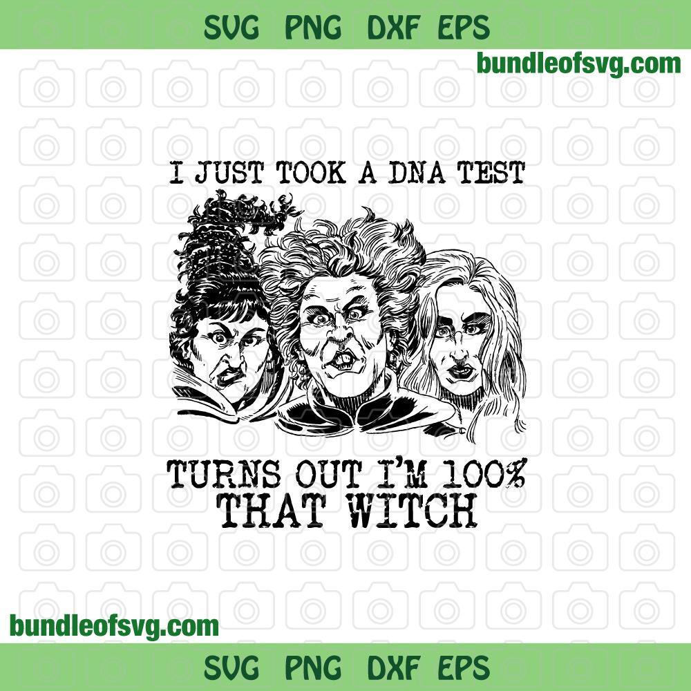 I Just Took A DNA Test Turns Out Im 100% That Witch SVG Halloween Hocus Pocus svg Sanderson sisters svg png dxf eps files cameo cricut - BundleofSVG