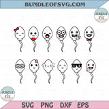We use to live in your Balls Svg Happy Father's Day Svg Sperm Svg Png Dxf Eps files Cameo Cricut