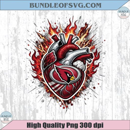 Arizona Cardinals Heart PNG Football Cardinals Anatomical Heart Png