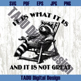 It Is What It Is And It Is Not Great Svg Raccoon Trashy Quote Svg Png