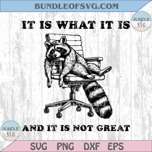 It is what it is Png Funny Raccoon Svg Humor Meme Trashy Quote Svg
