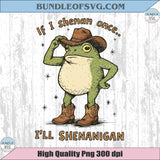 Mental Health Png If I Shenan Once I'll Shenanigan Png Cowboy Frog
