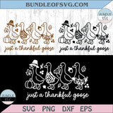 Thanksgiving Svg Just a Thankful Goose Svg Silly Goose Cricut Dxf