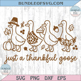 Thanksgiving Svg Just a Thankful Goose Svg Silly Goose Cricut Dxf