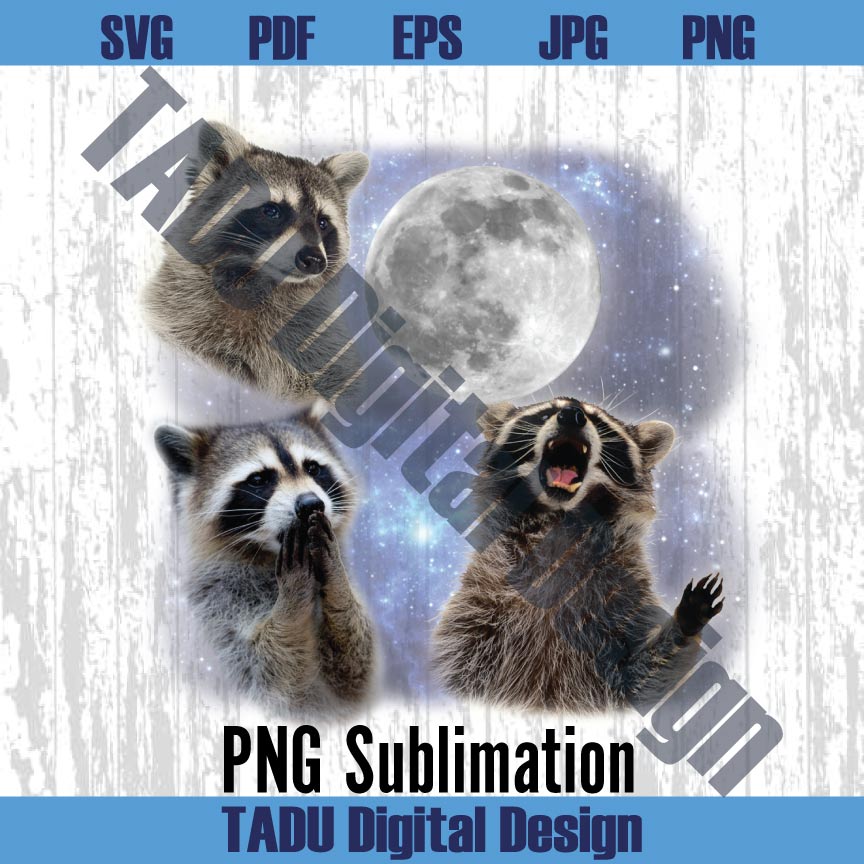 Three Raccoons Vintage Graphic Png Funny Retro Raccoon Moon Png
