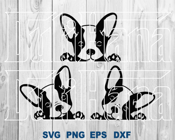 Pet Dog French Bulldog Face SVG Peeking Paws Animal clipart Silhouette Party Banner Decor printable svg png dxf cut files cameo cricut