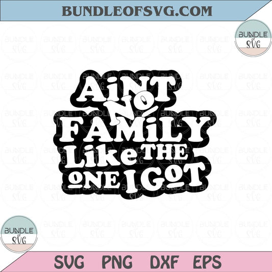 Ain't No Family Like The One I Got Svg Funny Family Quote Svg Png Dxf Eps files Cameo Cricut - BundleofSVG