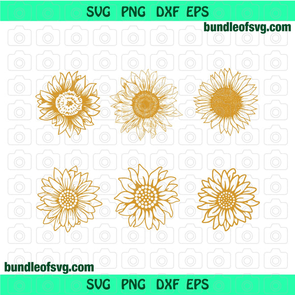 Bundle 6 Sunflowers SVG Sunflower Drawing Sunflower svg png dxf cut files cameo cricut