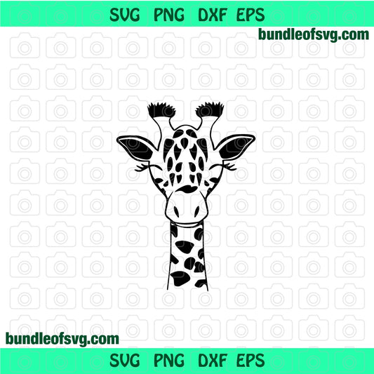 Giraffe Face Svg Giraffe Head Svg Silhouette Giraffe Svg Safari svg dxf png cut files cameo cricut - BundleofSVG