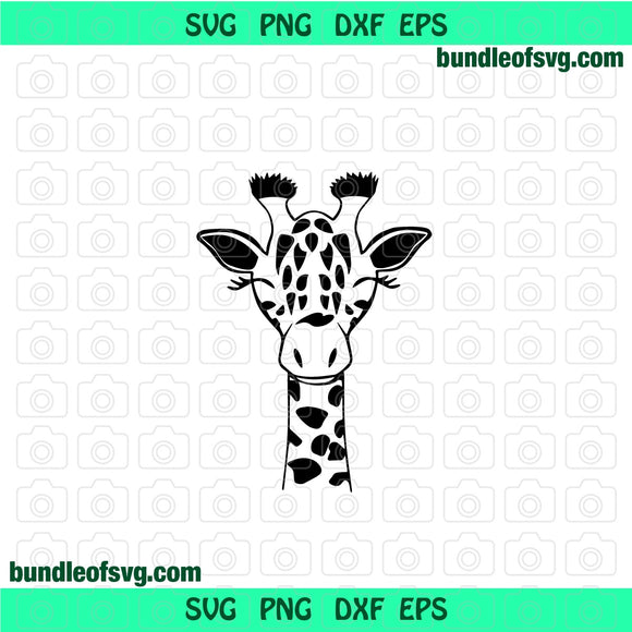 Giraffe Face Svg Giraffe Head Svg Silhouette Giraffe Svg Safari svg dxf png cut files cameo cricut