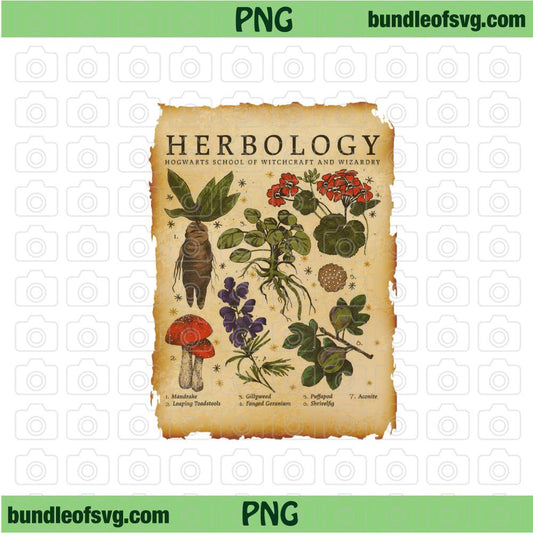 Harry Potter Herbology Plants PNG Submilation Herbology Png Hogwarts png file - BundleofSVG