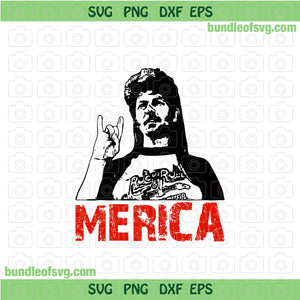 Joe Dirt SVG Merica svg American Flag Joe Dirt Quote svg You dont have no svg USA 4th of July Shirt svg png dxf eps files cameo cricut