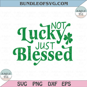Not Lucky Just Blessed Svg Retro Saint Patrick's Day Svg St Patricks Day Svg Shamrock Svg png dxf eps cut file