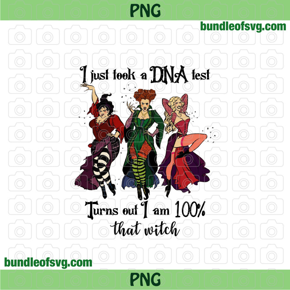 Hocus pocus I Just Took a DNA Test Turns out I am 100 that witch png Sublimation Sanderson sisters png file