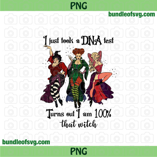 Hocus pocus I Just Took a DNA Test Turns out I am 100 that witch png Sublimation Sanderson sisters png file