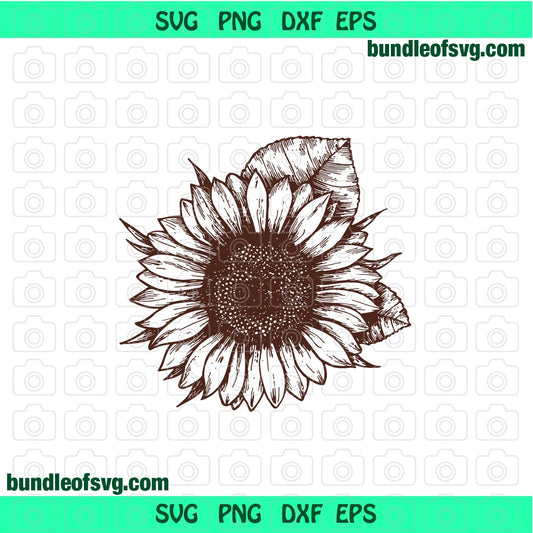 Sunflower SVG Sunflowers Drawing Sunflower Silhouette svg png dxf files cricut - BundleofSVG
