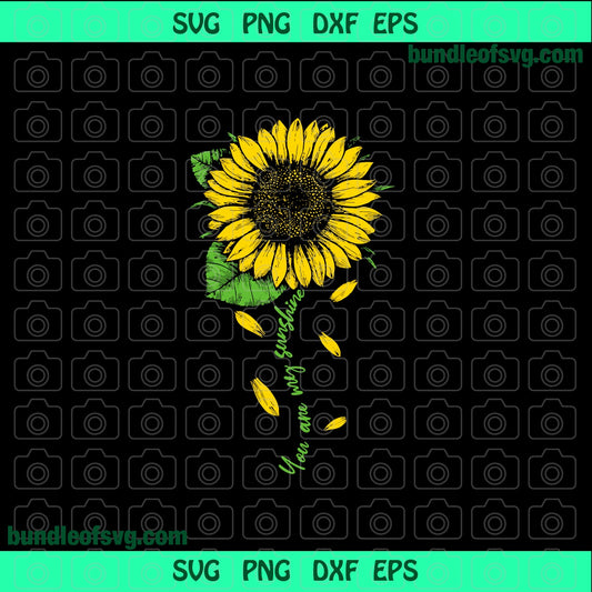 You are my sunshine SVG You are my sunshine Sunflower Silhouette svg png dxf eps files Cricut - BundleofSVG